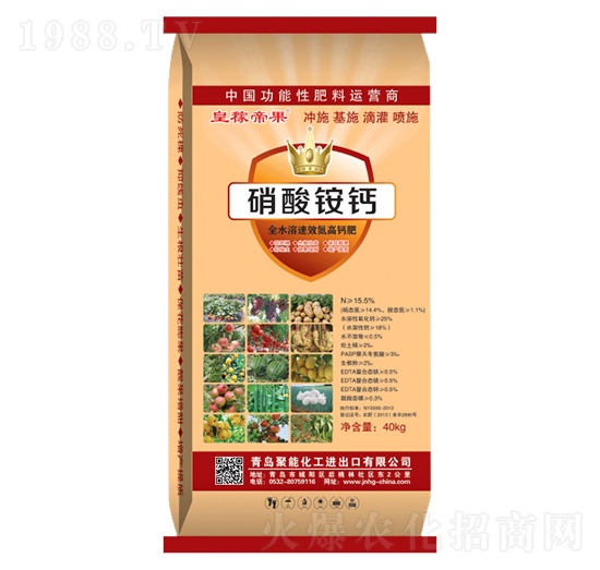 �����@�}-�ʼڵ۹�-����