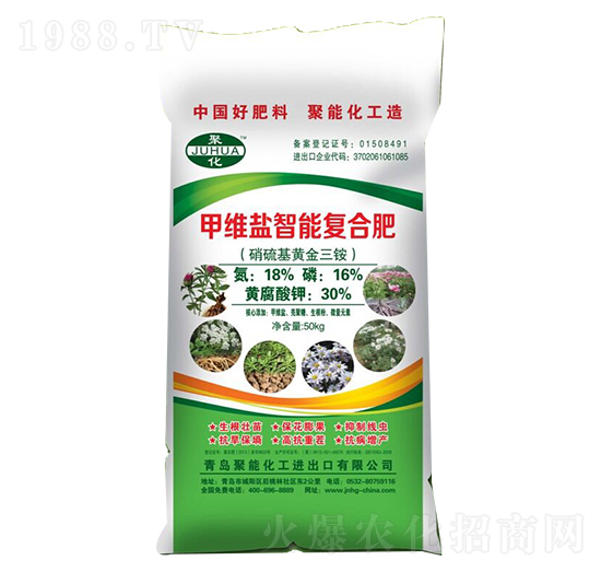 �׾S�}���܏�(f��)�Ϸ�-����