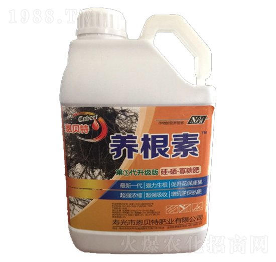 �B(y��ng)����-��ؐ��