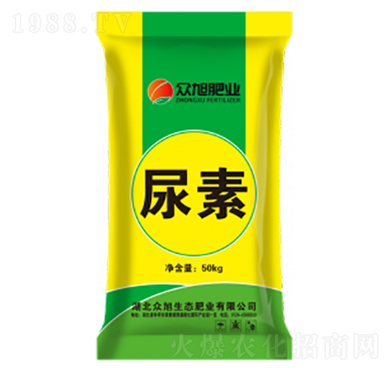 ����-����ʘI(y��)