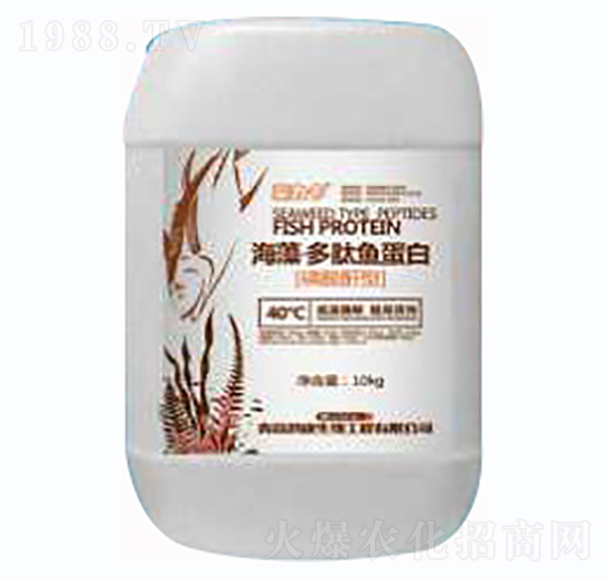 海藻多肽魚蛋白-鴻康生物
