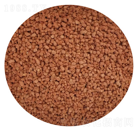 ���@���ʣ�С�w����-����������