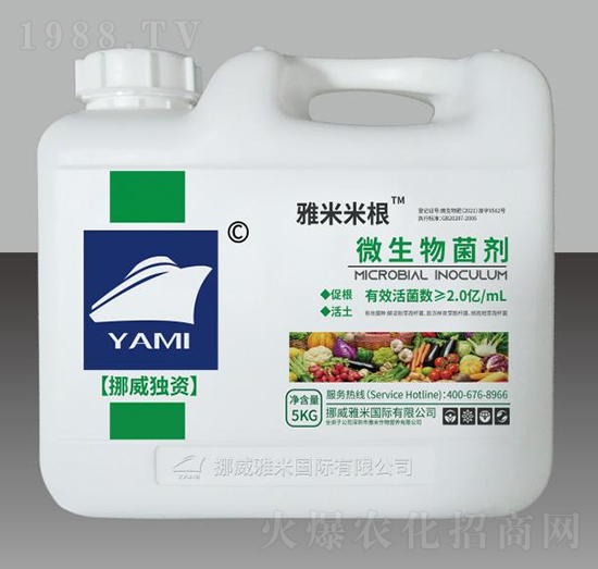 ΢�������-�����׸�-��������