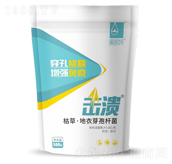 �����ݲݵ���ѿ�ߗU��-������