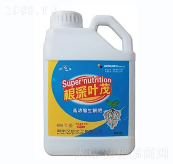 �����~ï-�h�滯��