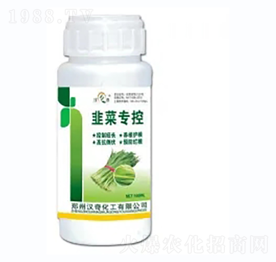 �²ˌ���-�h�滯��