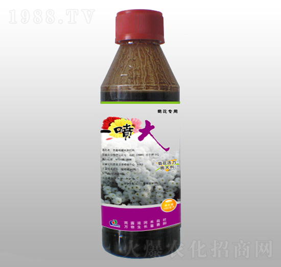 菊花活力膨大劑-一噴大-賽陽生物