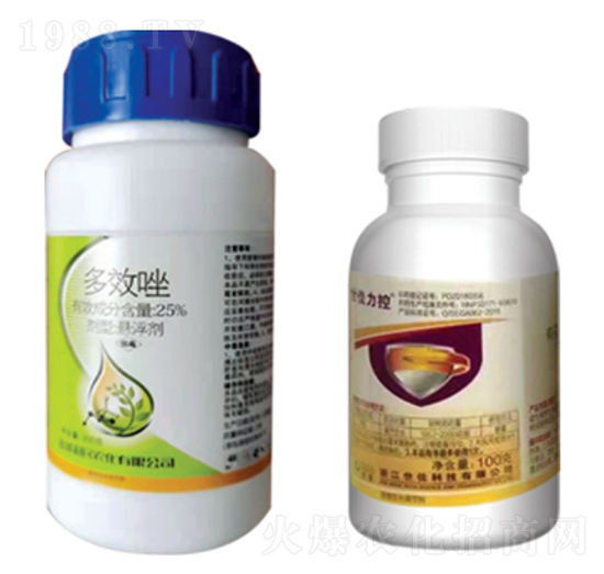 25%��Ч��-�W(li��n)���_