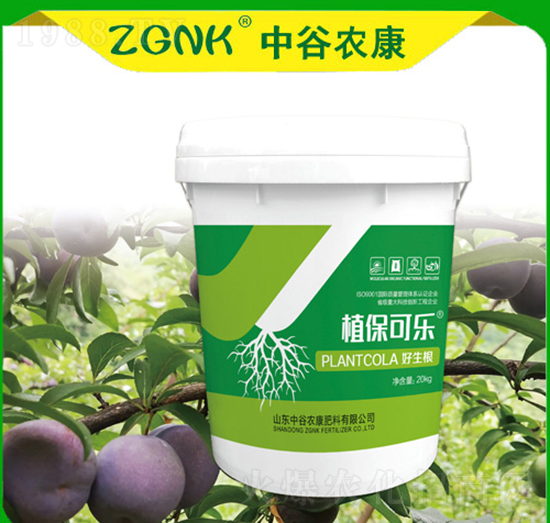 ������-ֲ���ɘ�-�й��r��