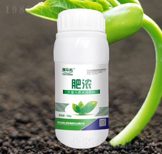 �ʝ�-������