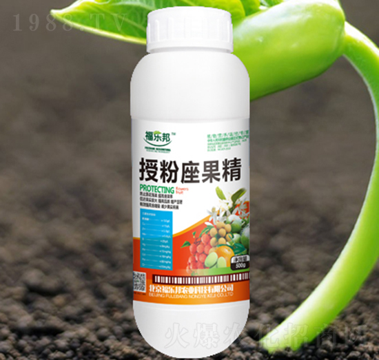 500g�ڷ�������-����(l��)��