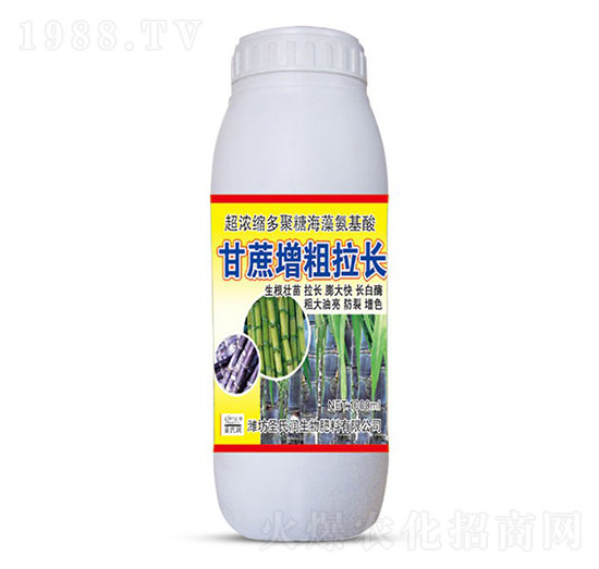 甘蔗增粗拉長-圣氏潤