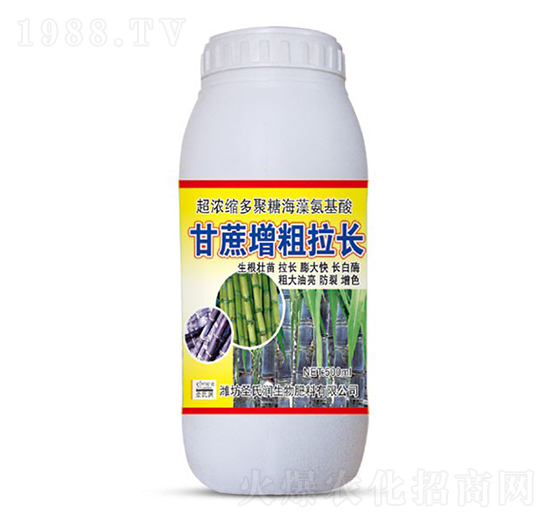 500ml甘蔗增粗拉長-圣氏潤