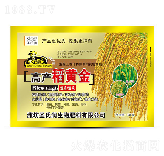稻黃金-圣氏潤