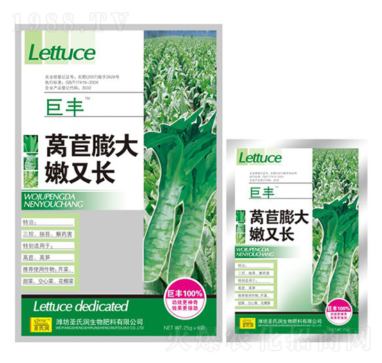 萵苣膨大嫩又長-圣氏潤