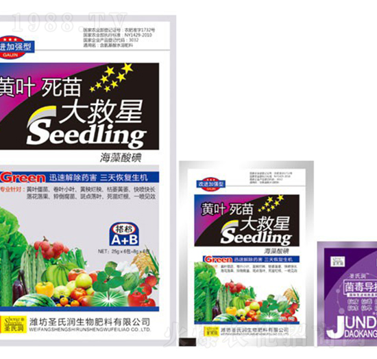 黃葉死苗大救星-圣氏潤