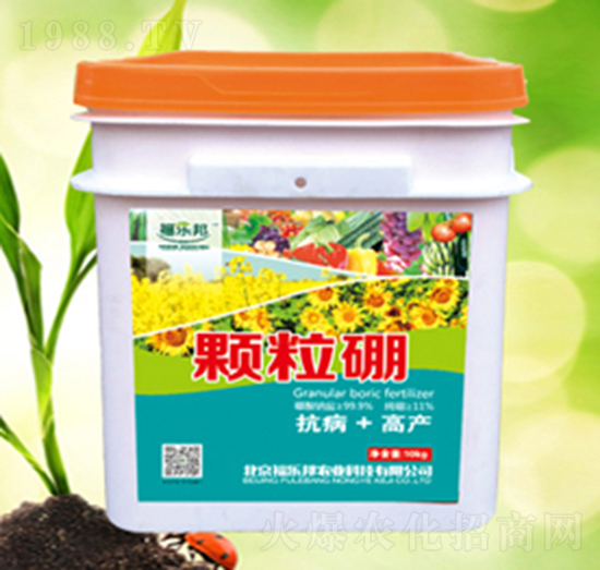 顆粒硼-福樂(lè)邦