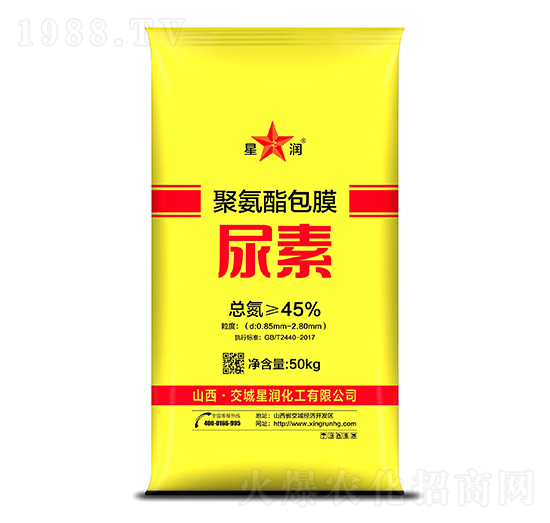 �۰�����Ĥ����-�ǝ�(r��n)����