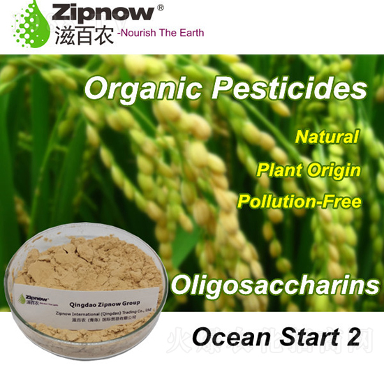 ����֮�Ǣ�-�̰��r