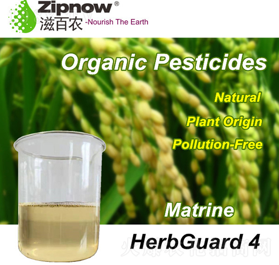 ˎ�����l(w��i)��-�̰��r(n��ng)