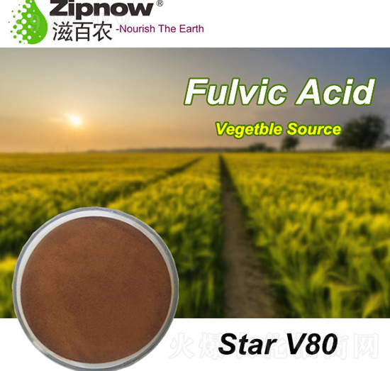 �S����-Star-V80-�̰��r(n��ng)