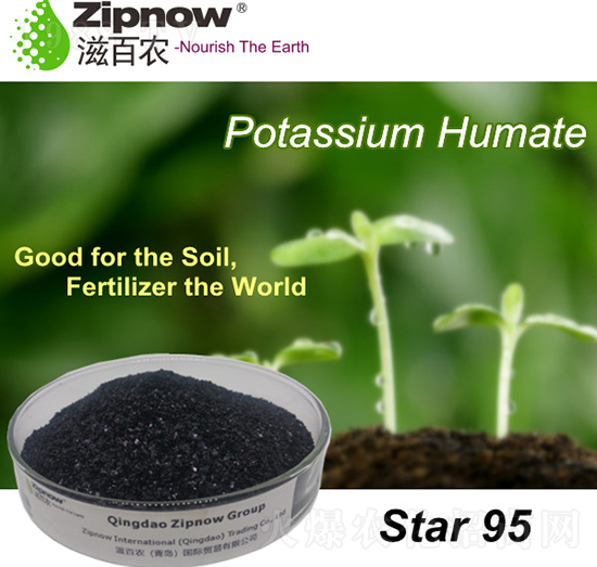 ��ֲ���-��95-�̰��r