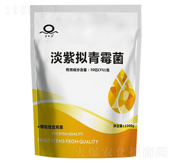 ���ϔM��ù��-���Sϲ����