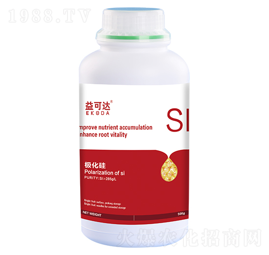 �O����-����_(d��)-�к̄���