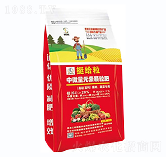 �����߲ˌ���-ͦ�o����΢��Ԫ��-�T���r(n��ng)�I(y��)