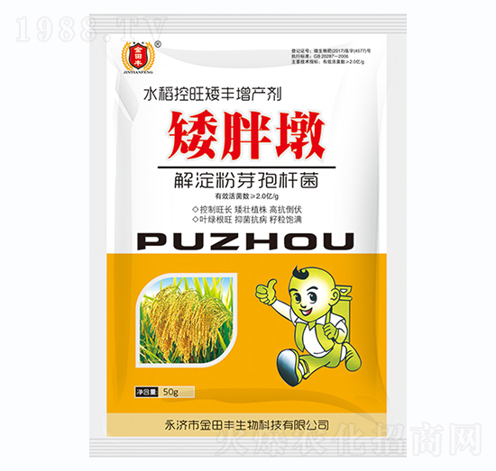 小麥控旺專用-矮胖子-金田豐