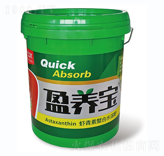 ӯ�B(y��ng)��-�����