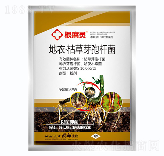 ���¡��ݲ�ѿ�ߗU��-�����`-��(zh��n)܇