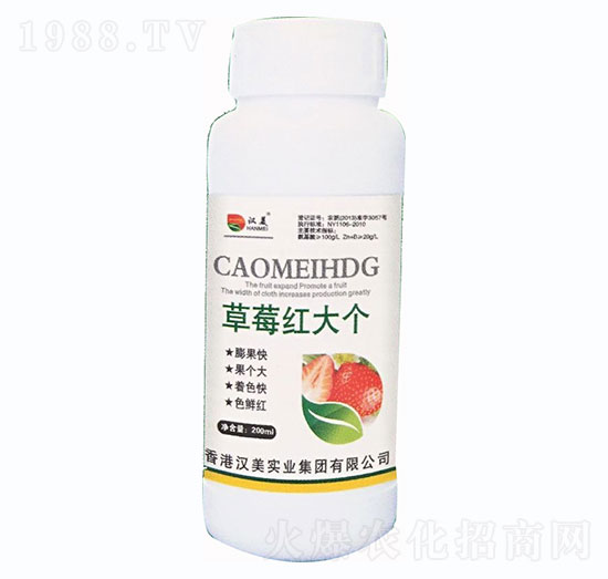 ��ݮ�t��-�h�����I(y��)