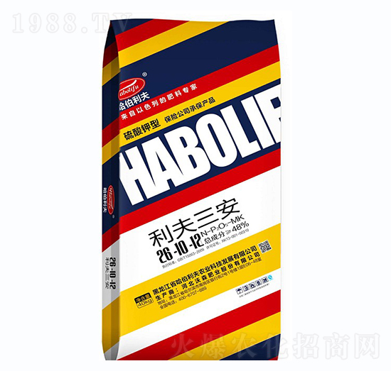 ������͏ͺϷ���26-10-12-��������-��������