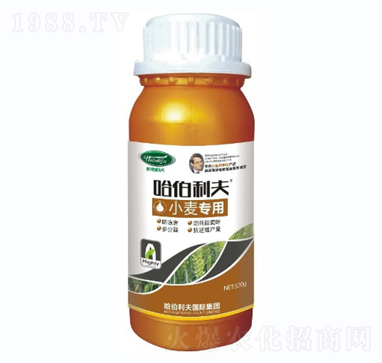 С������-��������