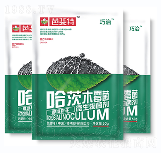 ΢�������������ľù��-����-�����