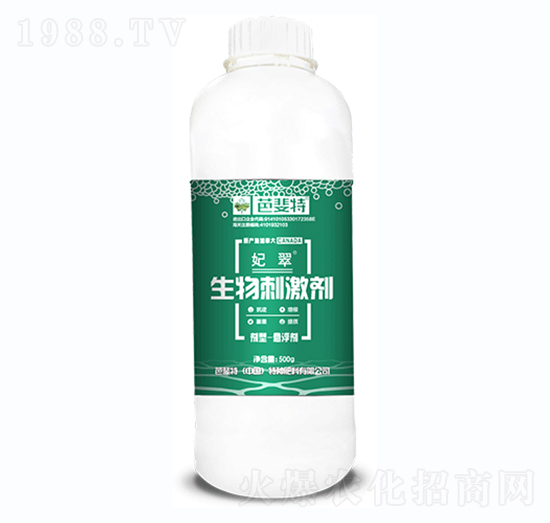 500g����̼���-����-�����