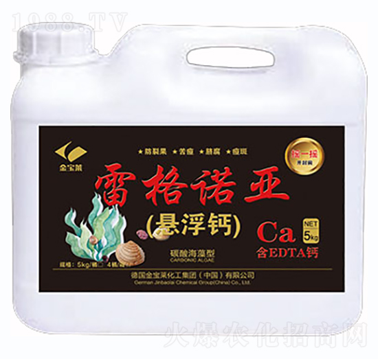 雷格諾亞·懸浮鈣-金谷丁