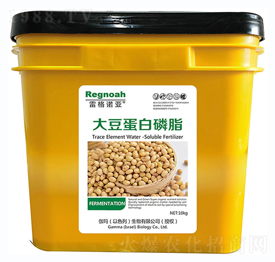 雷格諾亞·大豆蛋白磷脂-金谷丁