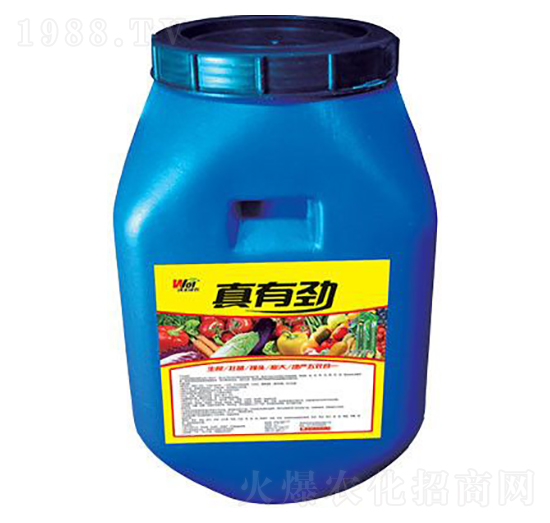 ���Є�-���S���r(n��ng)-���S����