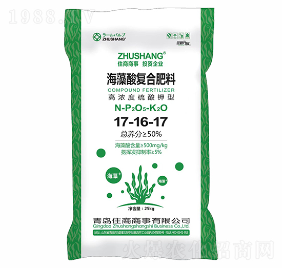 �ߝ��������͏ͺϷ���17-16-17+TE-ס������