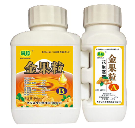 花生高產(chǎn)金果粒-晟邦生物