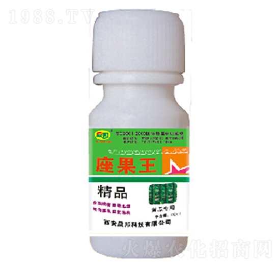 �S�ό���-������-�ɰ�����