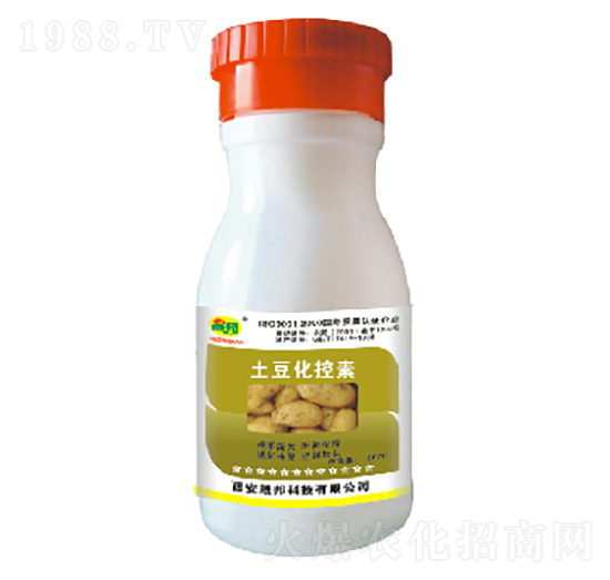 ����������-�ɰ�����