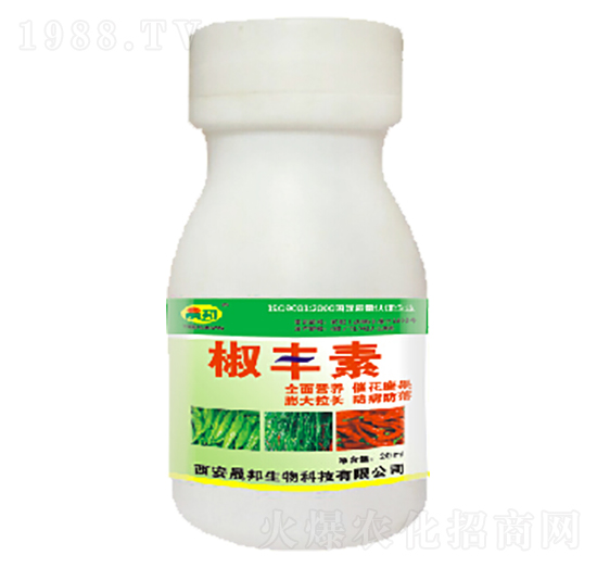 ���S��-�ɰ�����