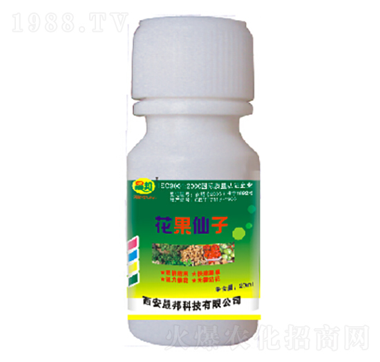 ��������-�ɰ�����