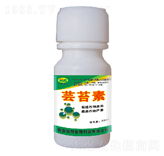 �|̦��-�ɰ�����