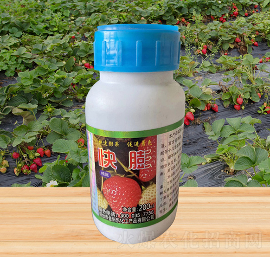 ����-�𲮘�