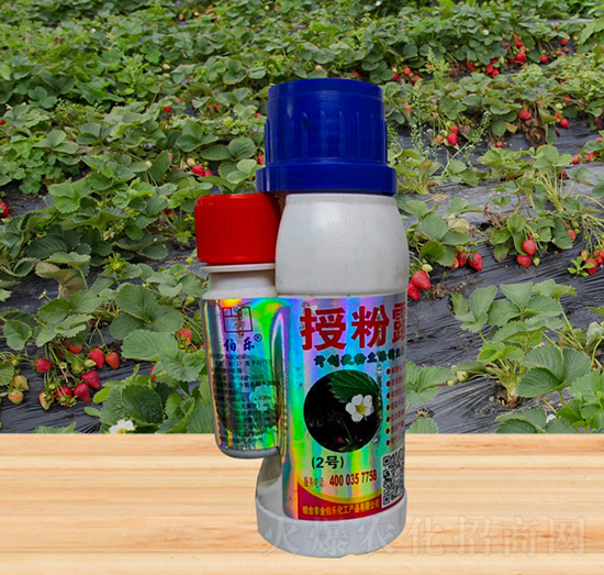 授粉露-金伯樂(lè)