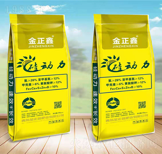 硅動(dòng)力-金正鑫